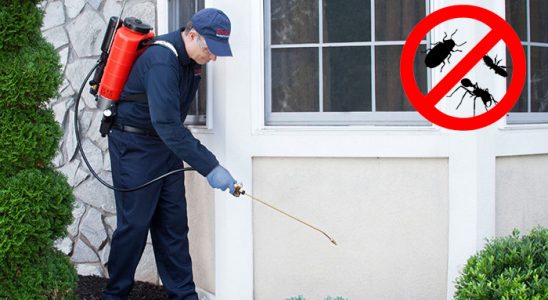 İzkent Dezenfeksiyon böcek ilaçlama ve haşere kontrolü — ilaclama-tr.com